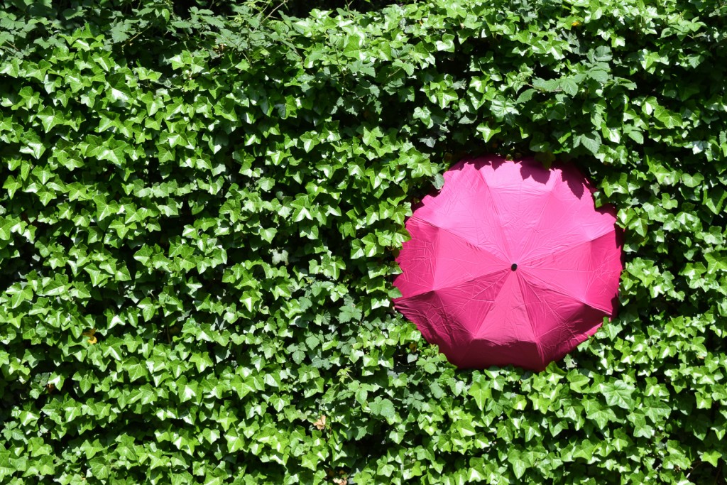 Image by Tobias Schlangen